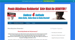 Desktop Screenshot of penisibuyutmeyontemleri.com